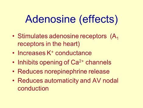 arryth adaenosin slide_66
